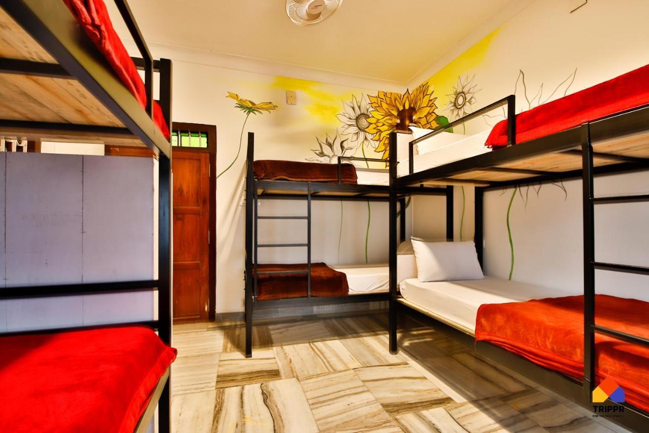 Trippr Alleppey - Backpacker Hostel Alappuzha Экстерьер фото